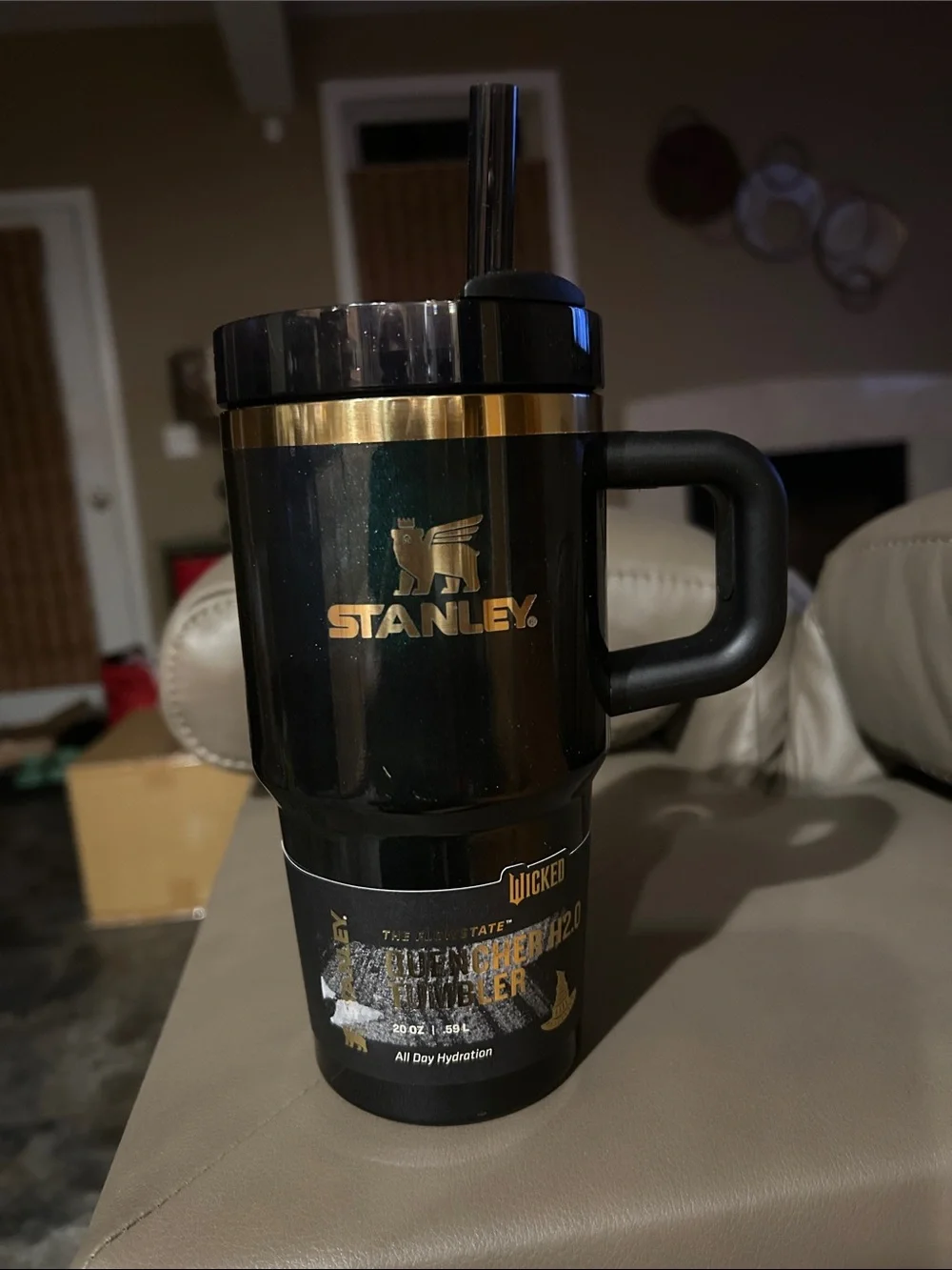 Stanley x Wicked 20oz FlowState Quencher Tumbler Elphaba For Good IN HAND
